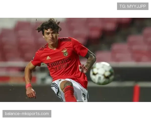 菲利克斯技术型攻击手风格解析